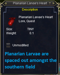 Planarian Larvae Heart